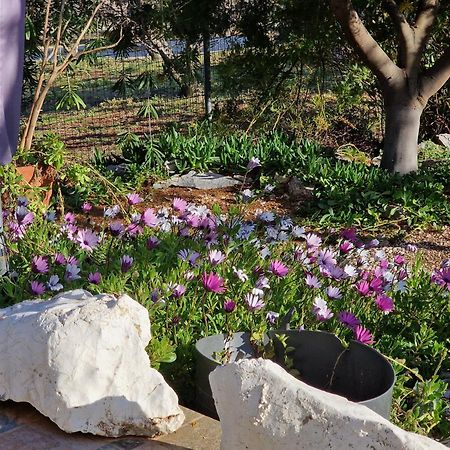 Grieks Vakantiehuis To Kalokairi Kougaíika Dış mekan fotoğraf