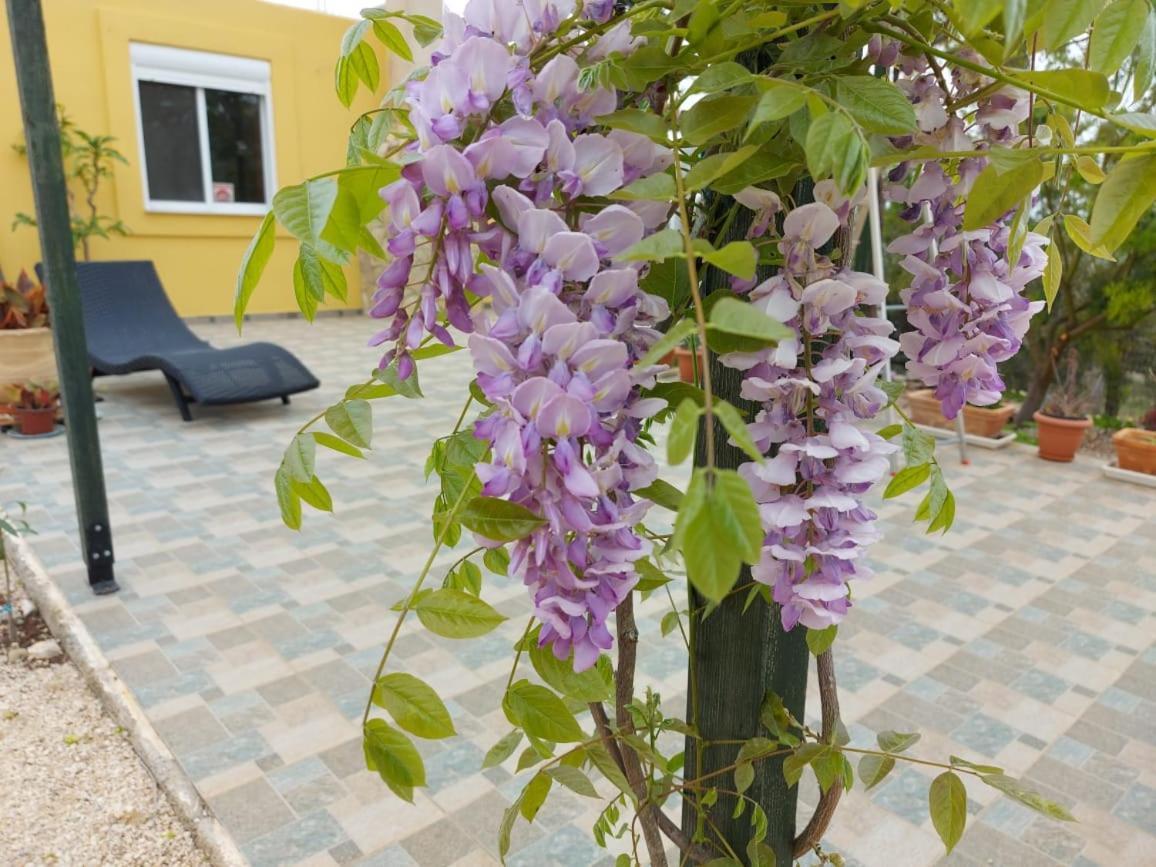 Grieks Vakantiehuis To Kalokairi Kougaíika Dış mekan fotoğraf